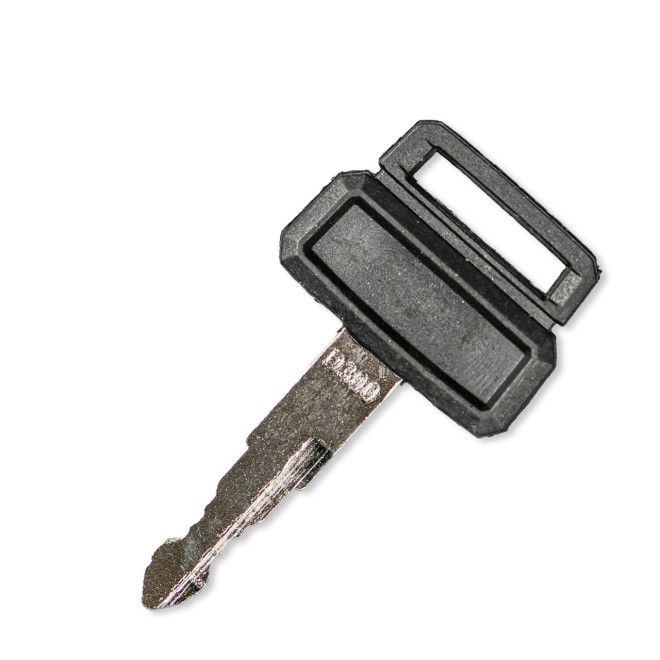 83601062  CLEF AZUR D300